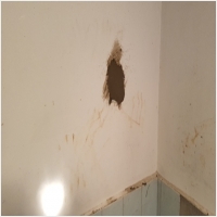 주문진누수탐지 PC 갤러리 15