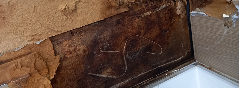 주문진누수탐지